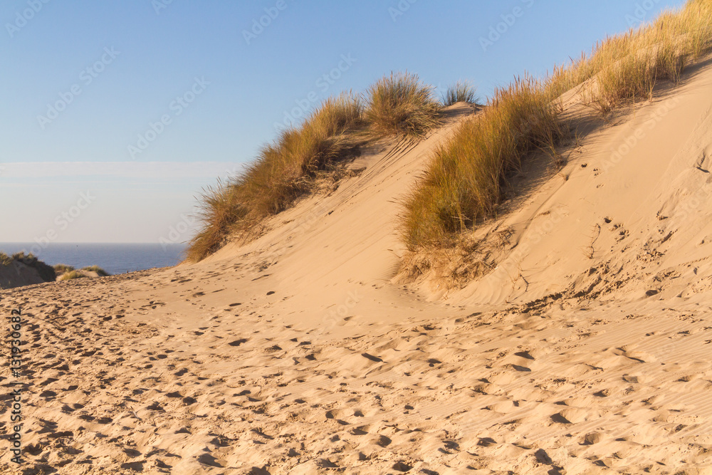 Sand Dunes Sand Dunes