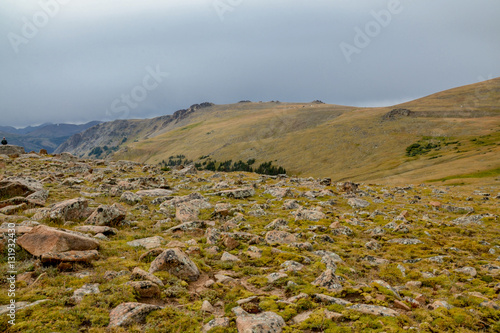 yellow grass, moss and granite stones in alpine tundra near Forest Canyon overlook with Sundance Mountain in the background
Trail Ridge Road, Rocky Mountain National Park, Estes Park, Colorado, USA