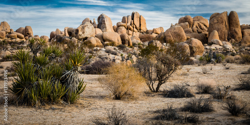 „Desert Art” Przejście Mojave i Colorado Deserts w Parku Narodowym Joshua Tree. Park znajduje się na wschód od Palm Springs w południowej Kalifornii.