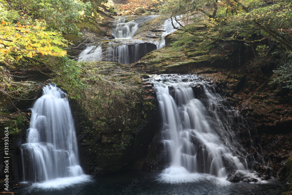 Fototapeta premium 赤目四十八滝 三重県