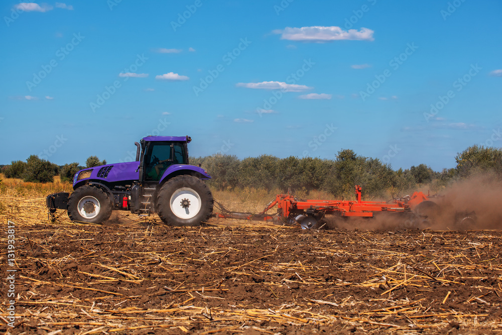 Obraz premium Big purple tractor plows the field and removes the remains of previously mown sunflower. Part of the cultivator steel round discs in a row close-up. Work agricultural machines. Harvest.