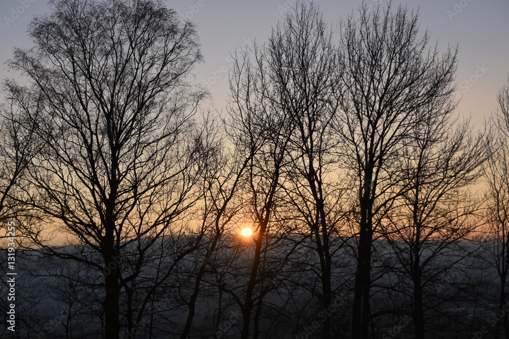 Sonne versteckt sich hinter Bäumen