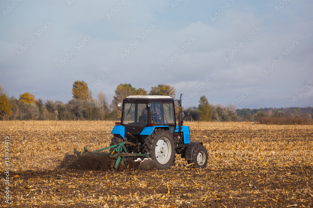 Obraz premium large blue tractor plow plowed land after harvesting the maize crop on a sunny clear autumn day. Part of the cultivator steel round discs in a row close-up. Work agricultural machines. Harvest.