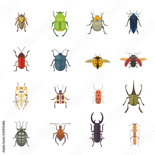 Set of insects flat style vector design icons. Collection nature beetle and zoology cartoon illustration
