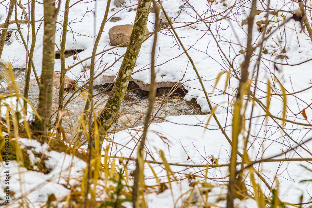 snowy mountain stream snowy mountain stream