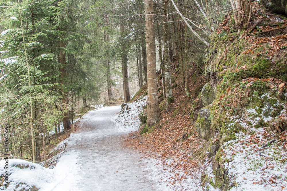 Obraz premium snowy pathway in the Dolomites
