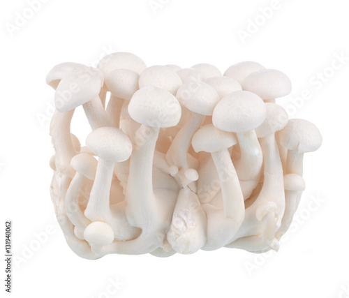 shimeji white mushrooms on white background.