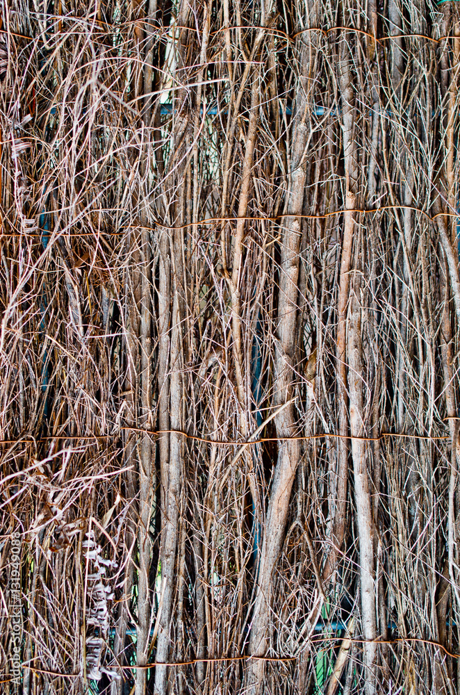 Fototapeta premium wall or floor wattle woven