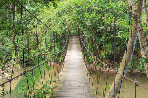 Rope suspension bridge in forest, Khao Yai National Park, Thaila