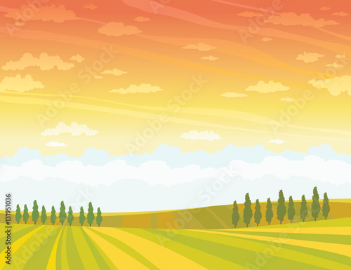 Rural lansdcape with cultivate meadow and sunset sky.
