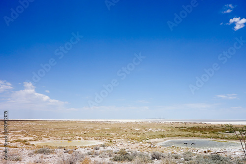 Etosha landscape