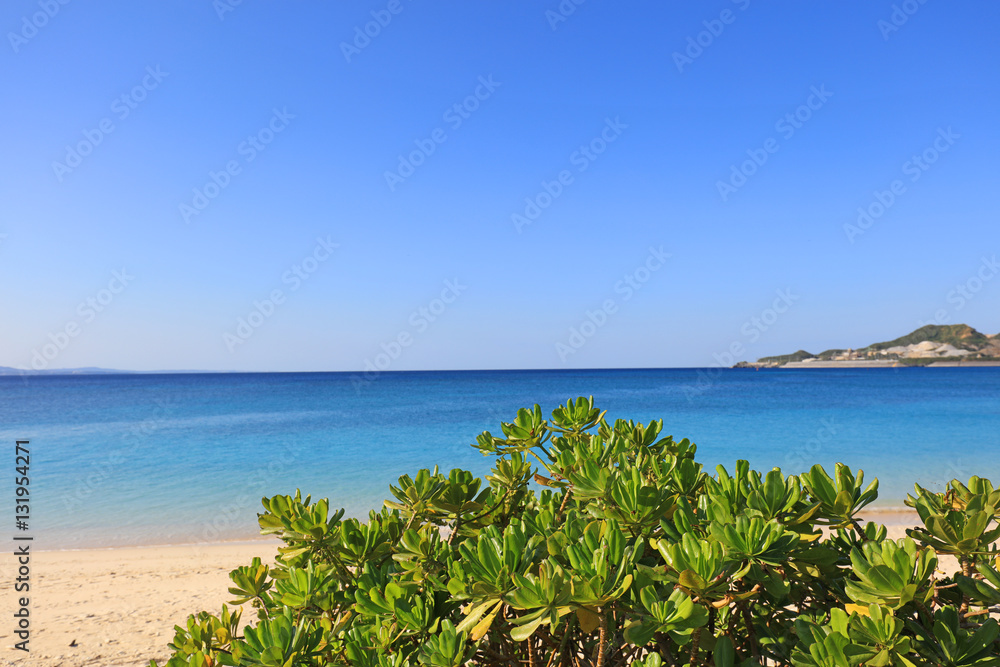 美しい沖縄のビーチと夏空

