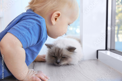 Cute little boy with fluffy...