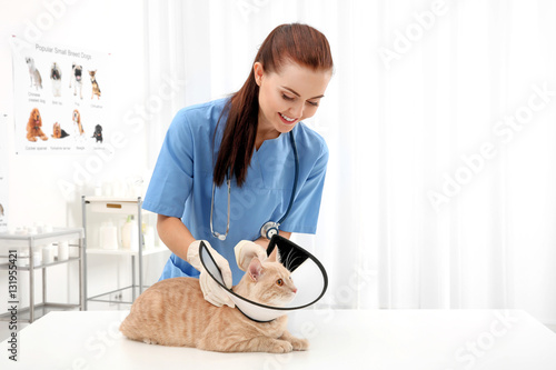 Pretty young veterinarian p...