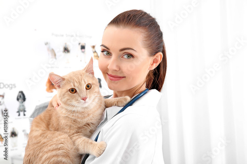 Pretty young veterinarian h...