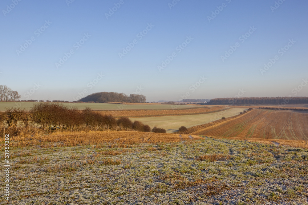 Obraz premium frosty wolds landscape