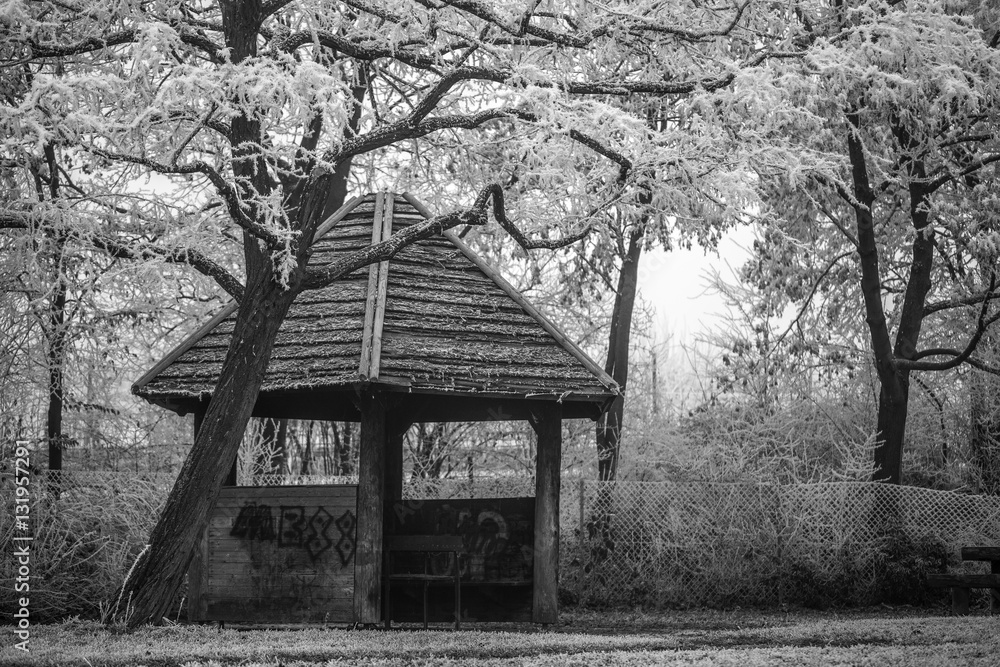 Obraz premium Holzhütte im Winterwald (schwarzweiß)