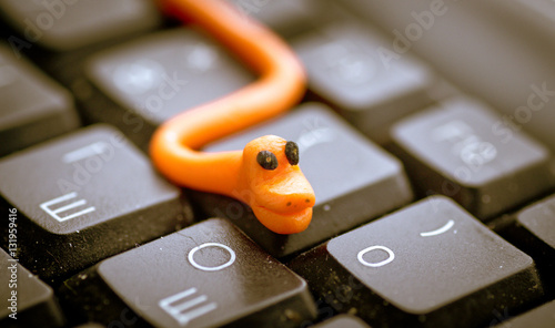 Plasticine Worm Virus on The Keyboard