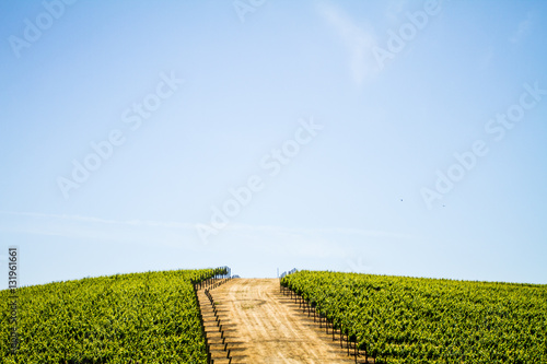 Napa Valley