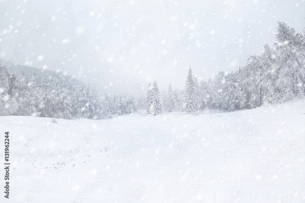 Naklejka premium Piękny zimowy krajobraz podczas burzy śnieżnej