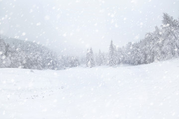 Tableau sur plexiglas Hiver Tempête de neige dans un paysage hivernal  © Africa Studio