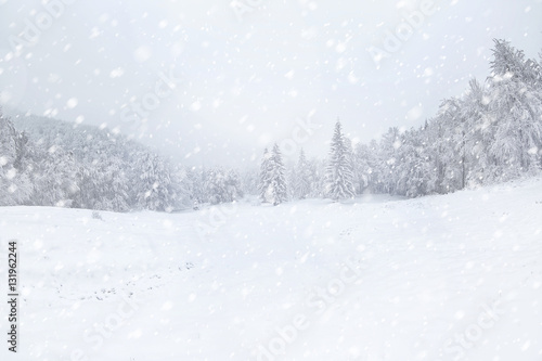 Papier peint Beautiful winter landscape during snow storm