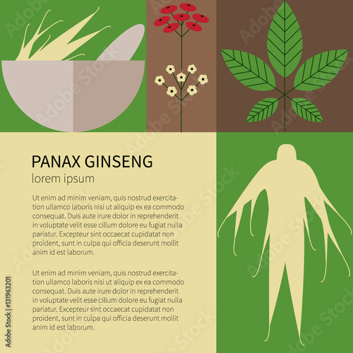 Panax Ginseng.Flat icons