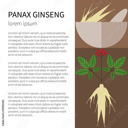 Panax Ginseng.Flat icons