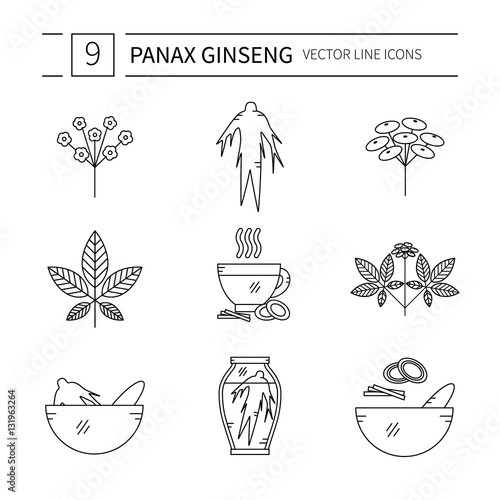Set of Panax Ginseng