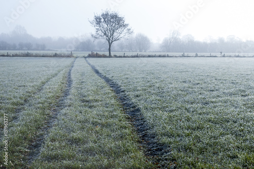 Landschaft mit Nebel und Bodenfrost im Winter in Schleswig-Holstein photo