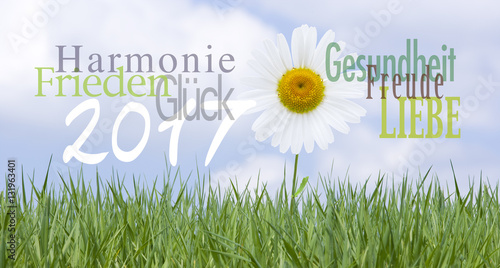 Wünsche zum Neujahr 2107