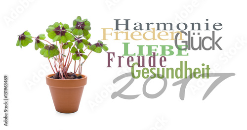 Wünsche zum Neujahr 2107