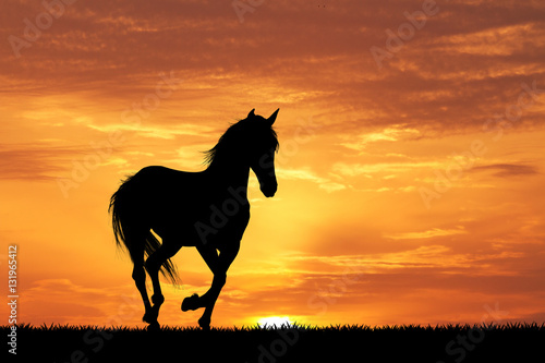 galloping horse at sunset © adrenalinapura