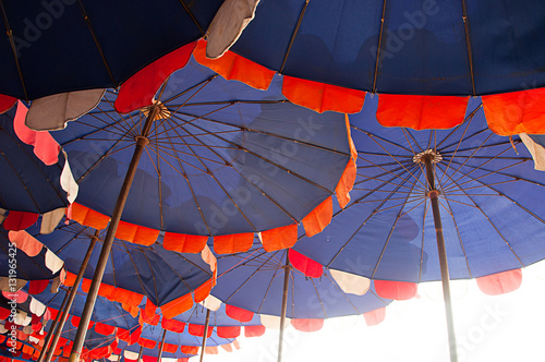 many umbrellas in the line on the beach