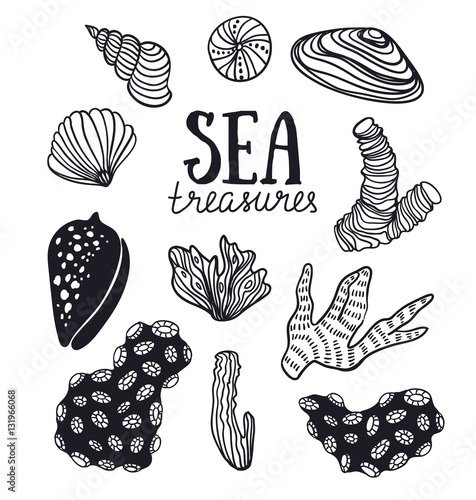 Grunge vector backgroung with sea treasures - corals, cockleshells, stones, seaweed. Vector illustration hand drawn style.