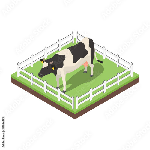 Isometric 3d vector illustration of cow.