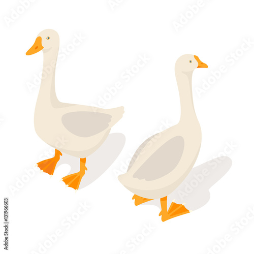 Isometric 3d vector illustration of farm goose