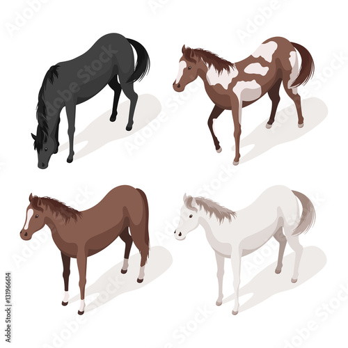 illustration set of horses.
