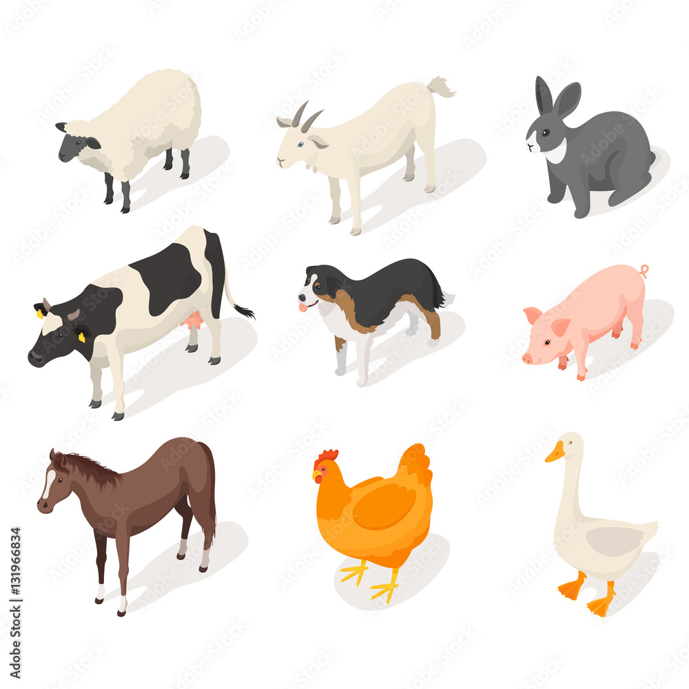 Isometric 3d vector set of farm animals.