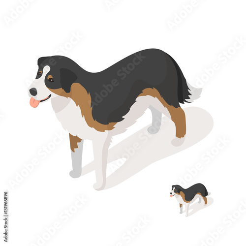 Isometric 3d vector illustration of sheep dog
