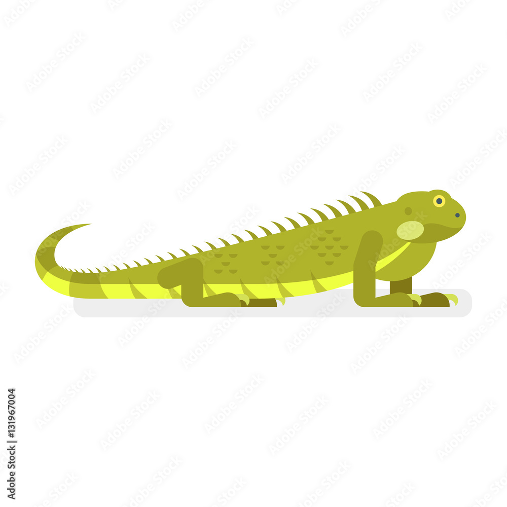 Fototapeta premium Vector flat style illustration of iguana