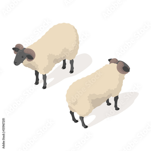 Isometric 3d vector illustration of ram 