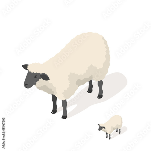 Isometric 3d vector illustration of sheep 