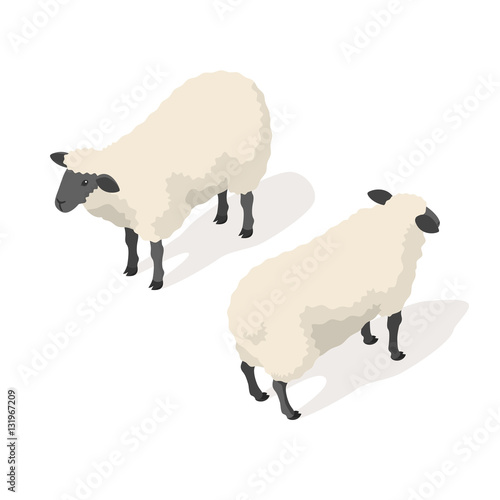 Isometric 3d vector illustration of sheep