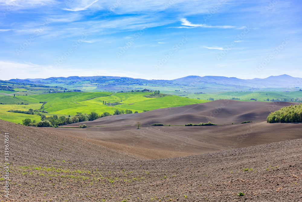 View in Tuscany with newly seeded fields in rural landscape View in Tuscany with newly seeded fields in rural landscape