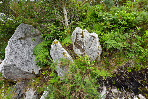 Irland - Glenveagh National Park photo