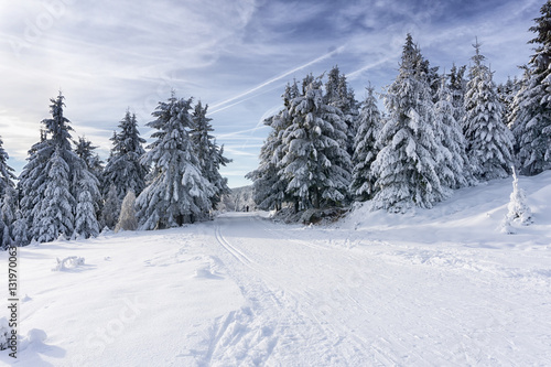 Winter road in mountains. Trees covered with fresh snow, clouds in the blue sky. Groomed ski trails for cross-country in Karkonosze, Giant Mountains, Poland. © msnobody