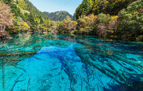 Azure lake with submerged tree trunks. Jiuzhaigou Valley was recognize by UNESCO as a World Heritage Site and a World Biosphere Reserve - China © vadim_petrakov