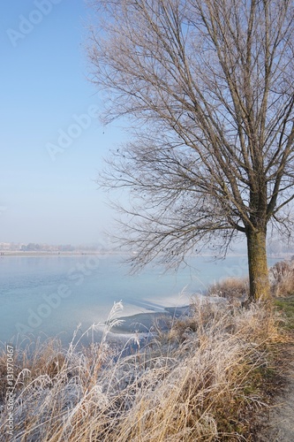 Winterlandschaft am See 