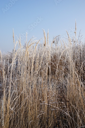 Winterlandschaft am See - Hochformat